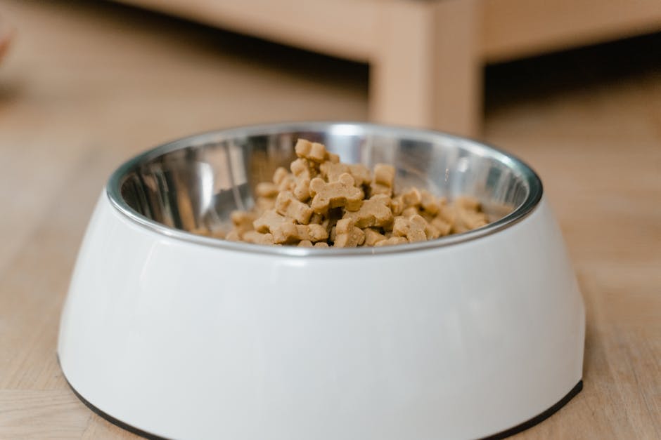 Raw Dog Snacks: Are They Worth the Hype? An In-Depth Look