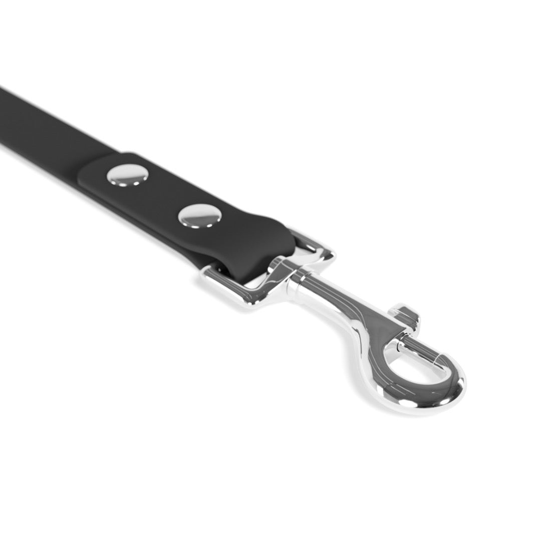 Pawprint Leash