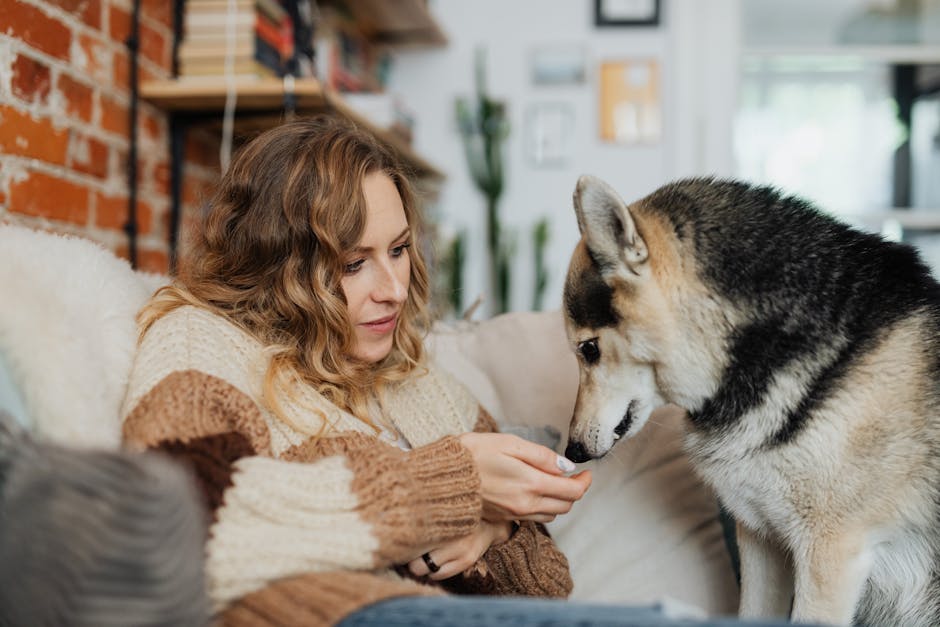 5 Reasons Why Natural Dog Chew Treats Are Better for Your Pet