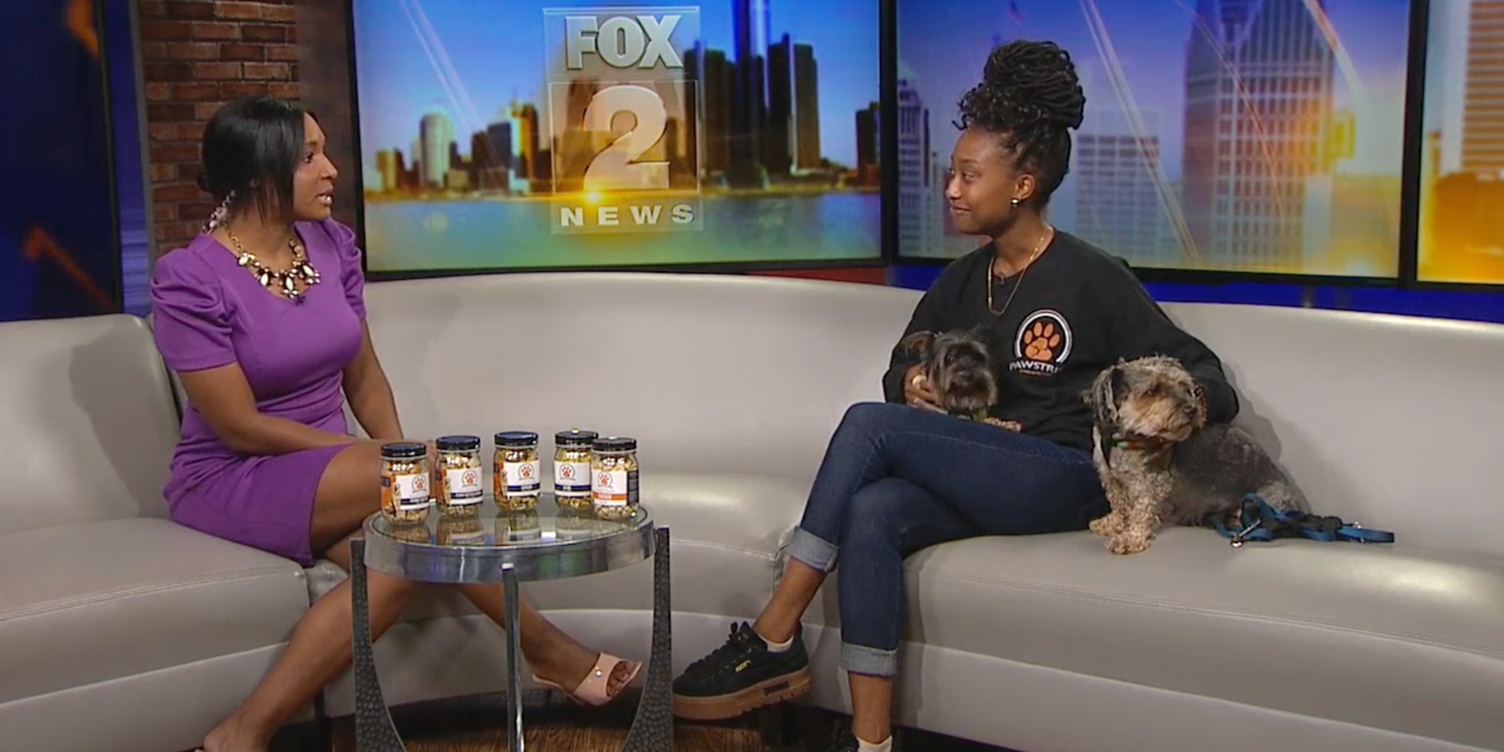 Load video: Pawstries owner Treasure Crocker featured on Fox 2 News with her two dogs