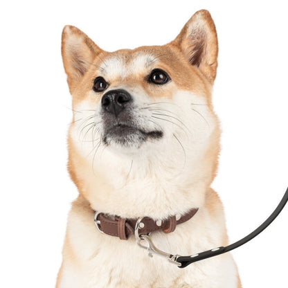 Pawprint Leash