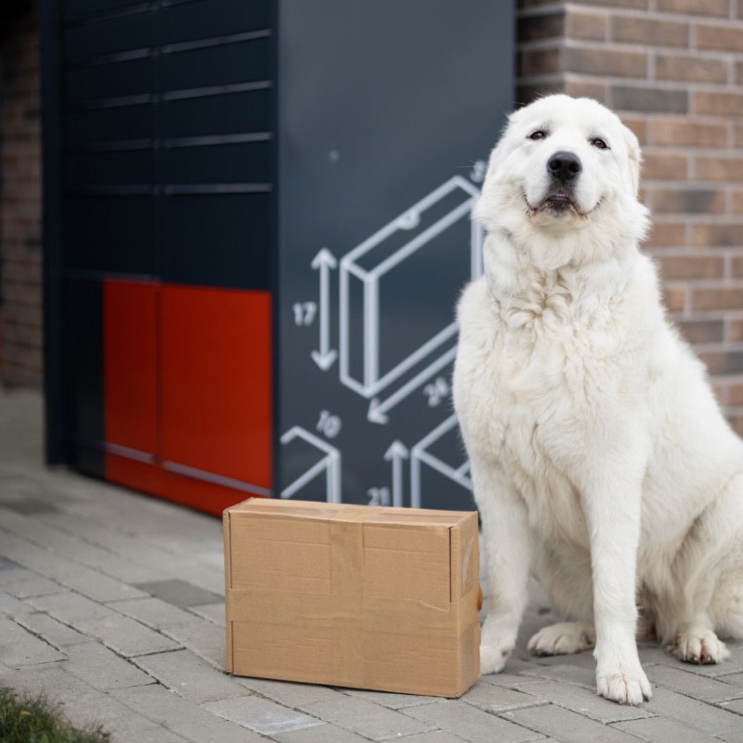 Refillable Dog Treats